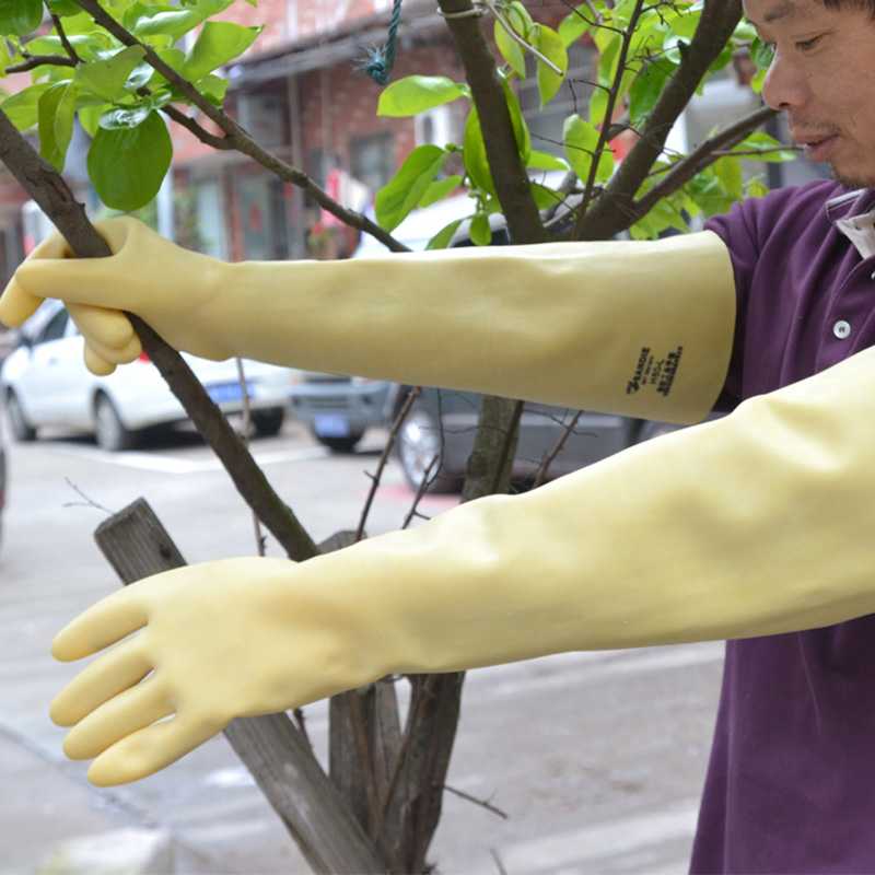 Dish Glove Rubber - Dài Cao Su Dày Cao Su