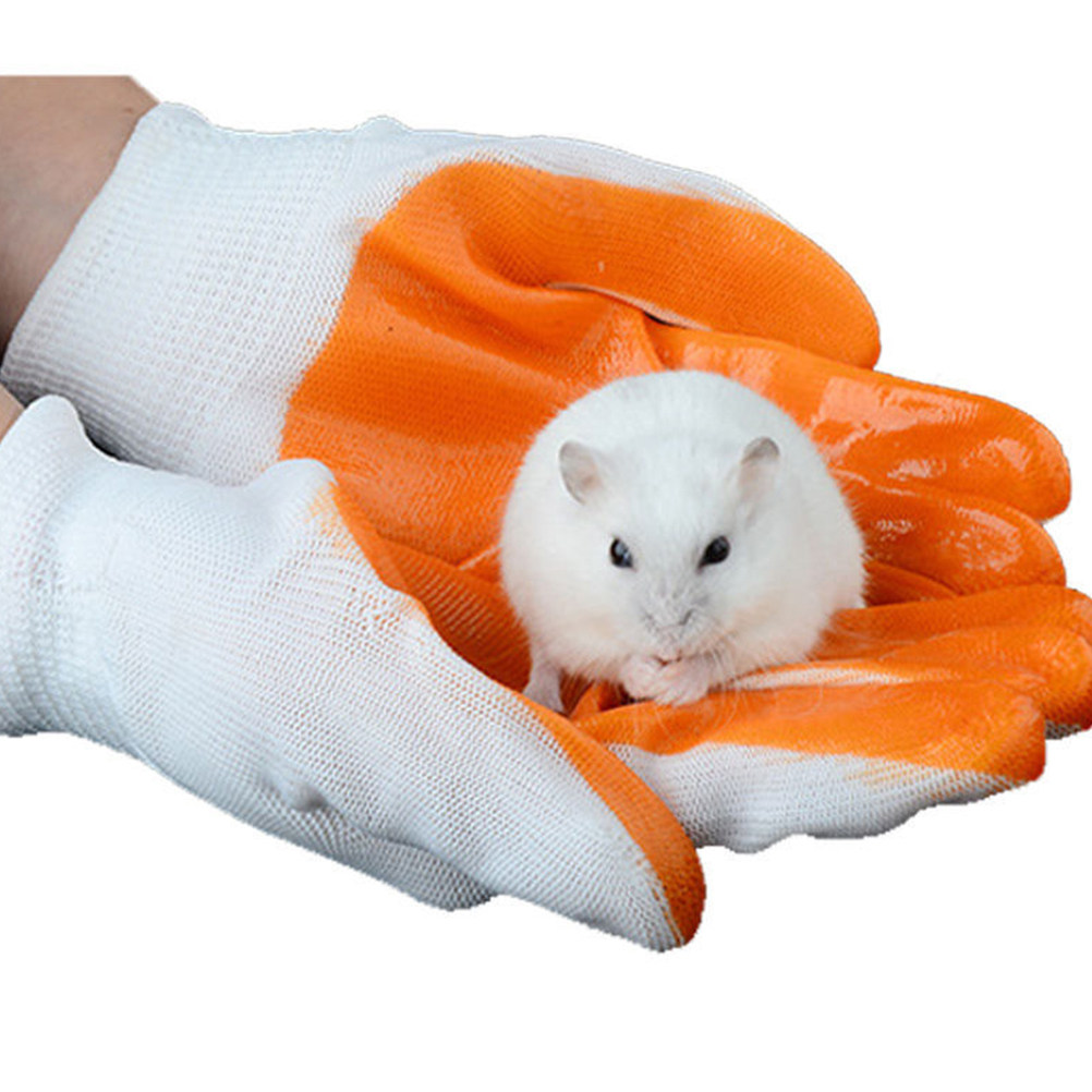 1Pair Animal Protection Gloves - đánh giá và giá Cut Resistant Glove